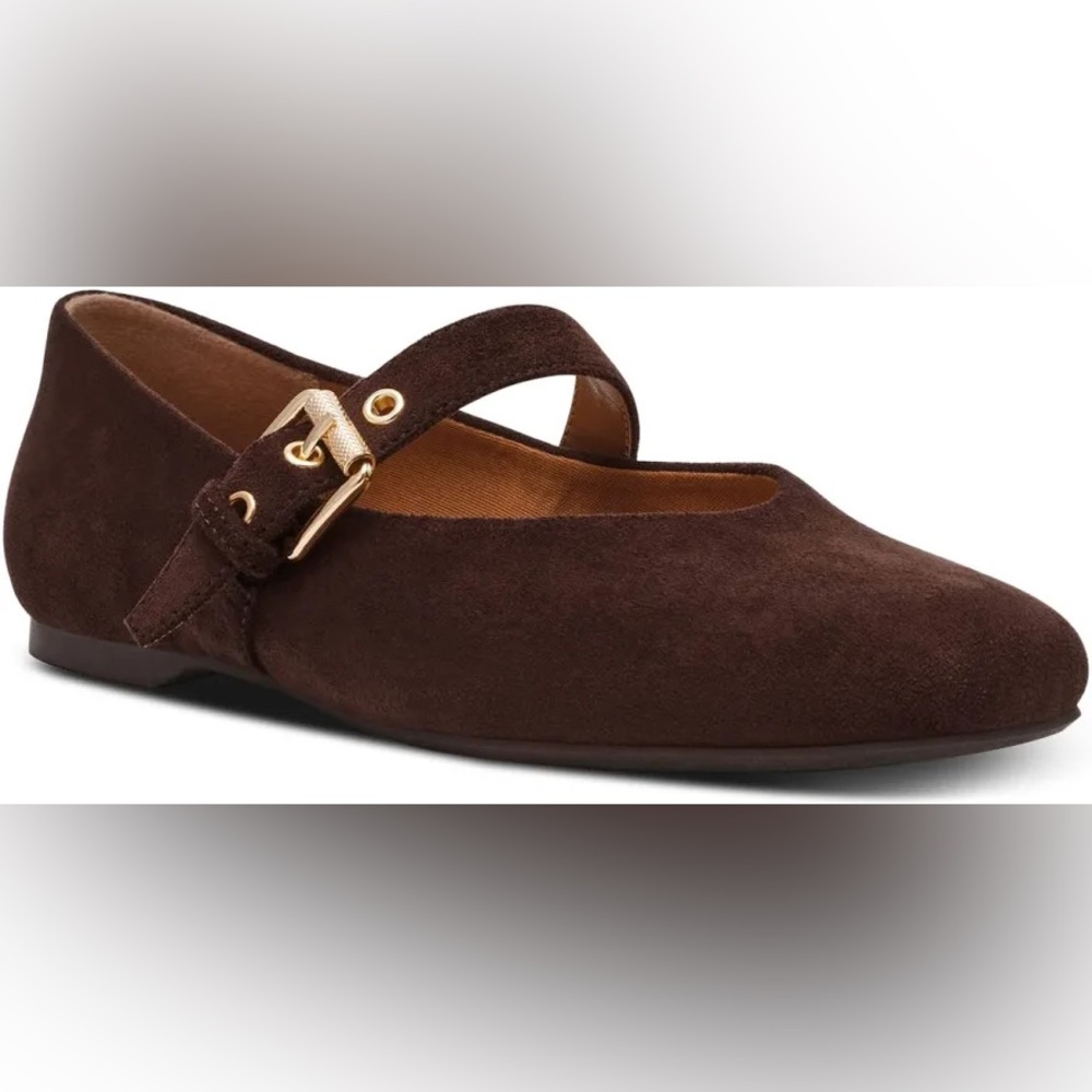 Dolce Vita Brown Flats with Gold Buckle